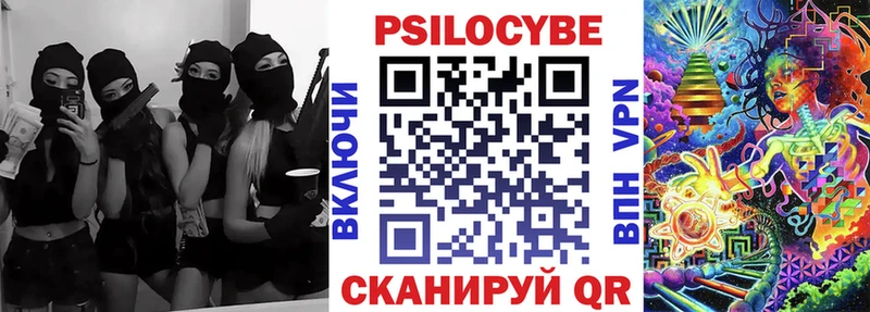 Купить  Сольцы  Псилоцибиновые грибы Psilocybine cubensis 
